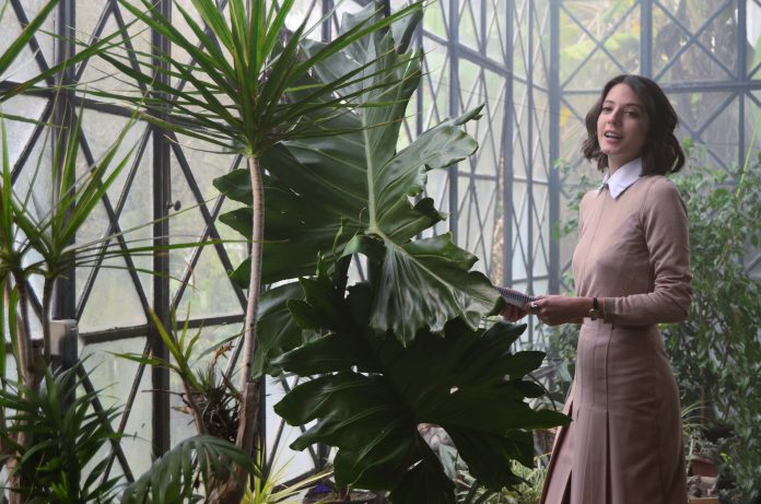 SEGUNDA TEMPORADA DE “O HIPNOTIZADOR”, SÉRIE ORIGINAL DA HBO, ESTREIA EM 29 DE OUTUBRO