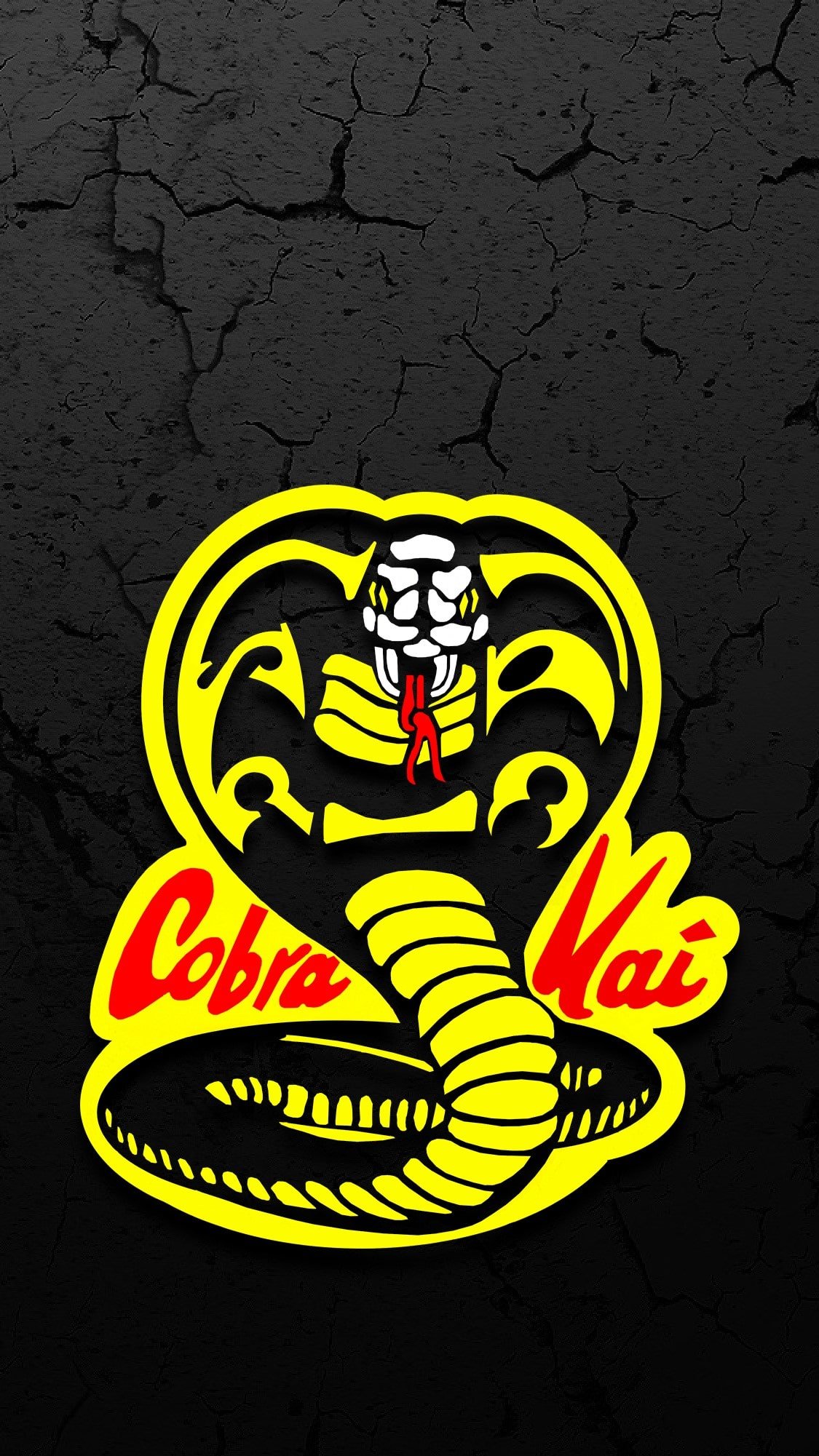 Cobra Kai  – Confira o trailer da quarta temporada!