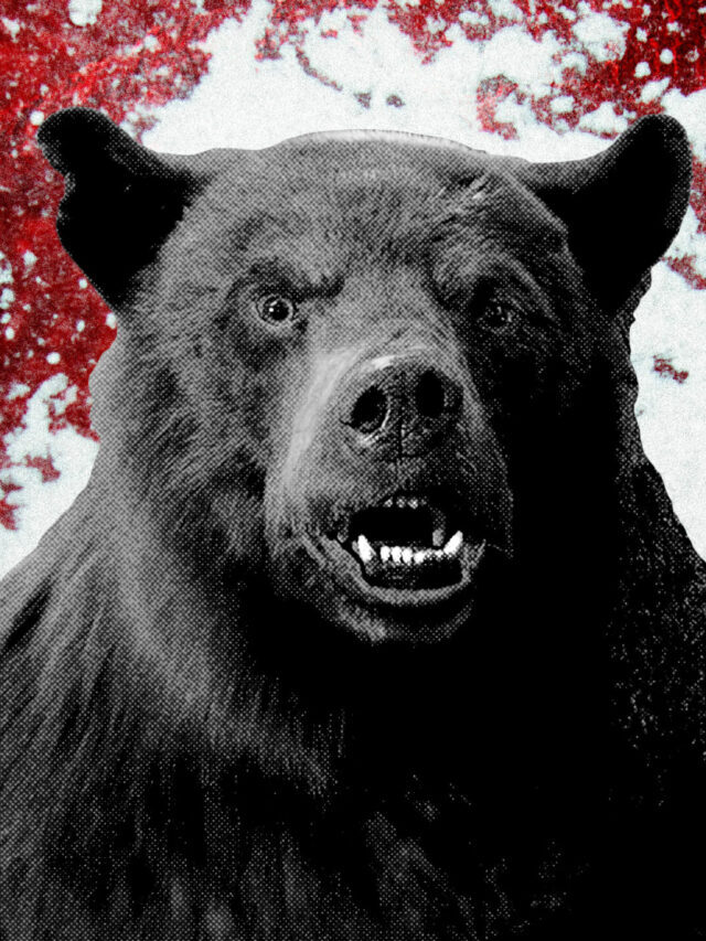 230225-cocaine-bear-tease_gncd64