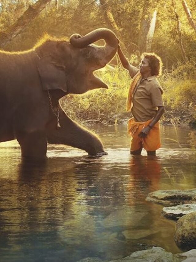 20221207-como-cuidar-de-um-bebe-elefante-papo-de-cinema-banner